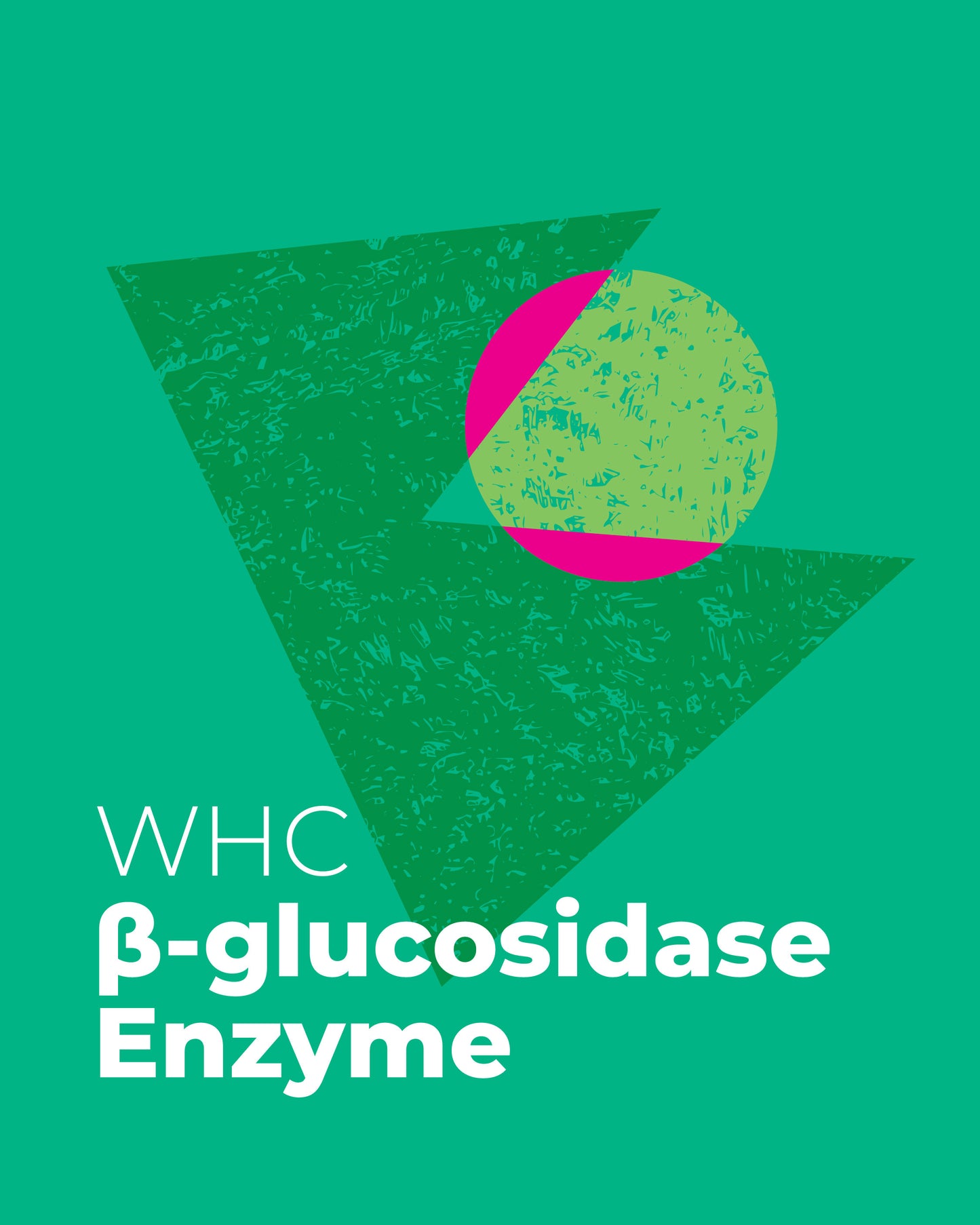 WHC β-glucosidase