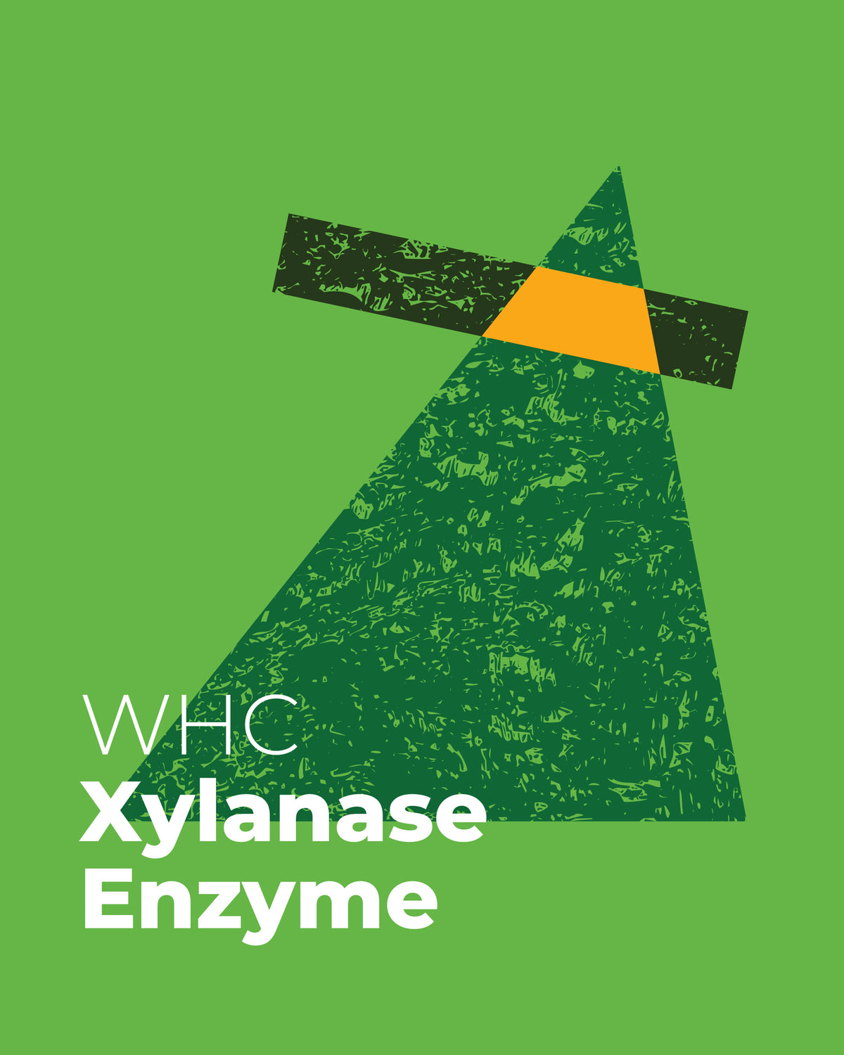 Green background with a triangular logo and 'WHC Xylanase Enzyme' text.
