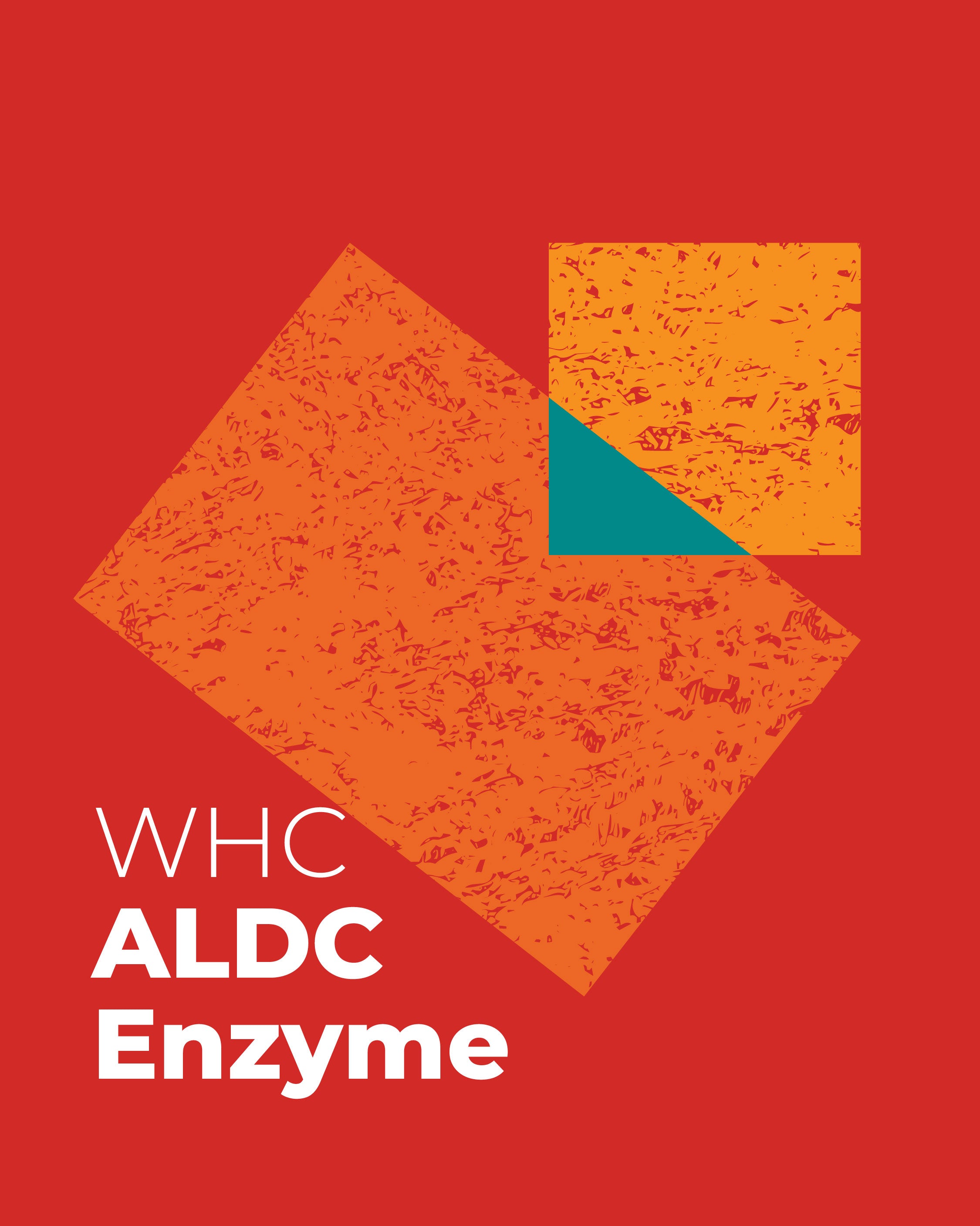 WHC Lab Acetolactate Decarboxylase [ALDC] Enzyme – WHC Lab Brewing and ...
