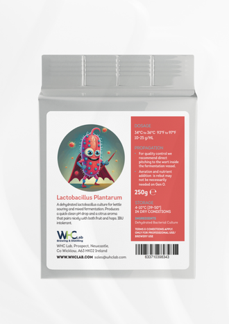 Lactobacillus plantarum: Sour Dry Bacteria