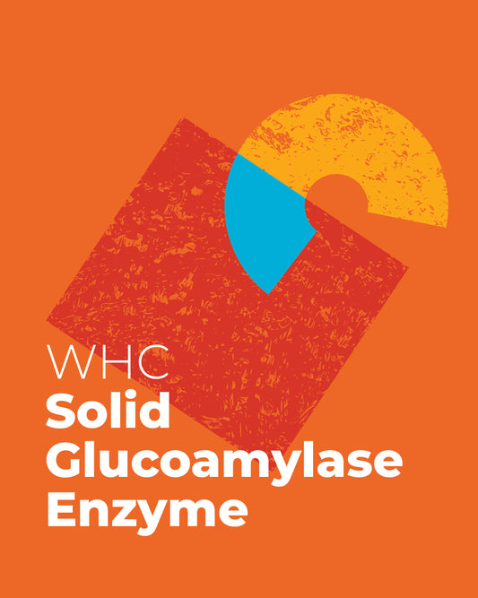 Orange background with geometric shapes and 'WHC Solid Glucoamylase Enzyme' text.
